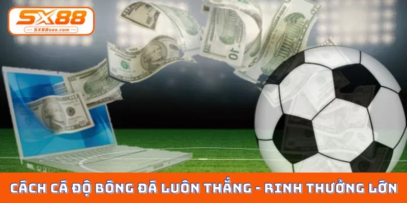Cách cá độ bóng đá luôn thắng